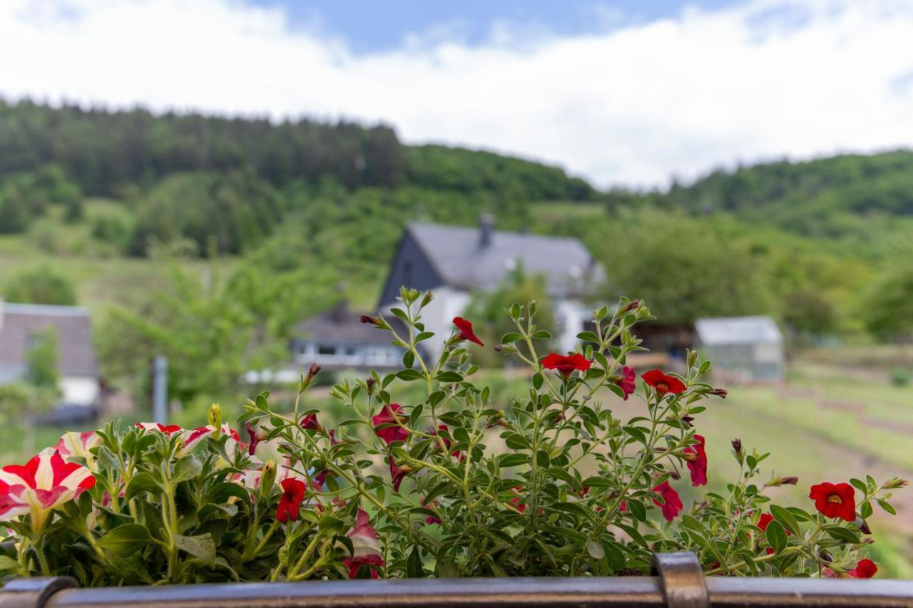 Ferienwohnungen Schorn Burg  Exterior foto