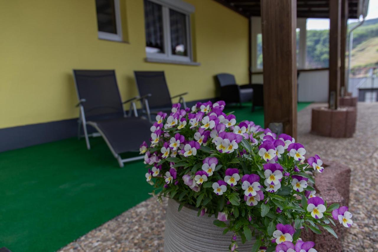Ferienwohnungen Schorn Burg  Exterior foto
